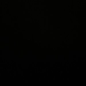 Meet your Posher, Zachary